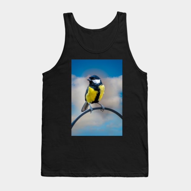 Great Tit Tank Top by Adrian Evans Photography
